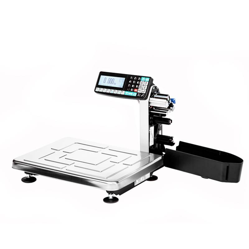 Весы с печатью этикеток TB-S-32.2-RL1 